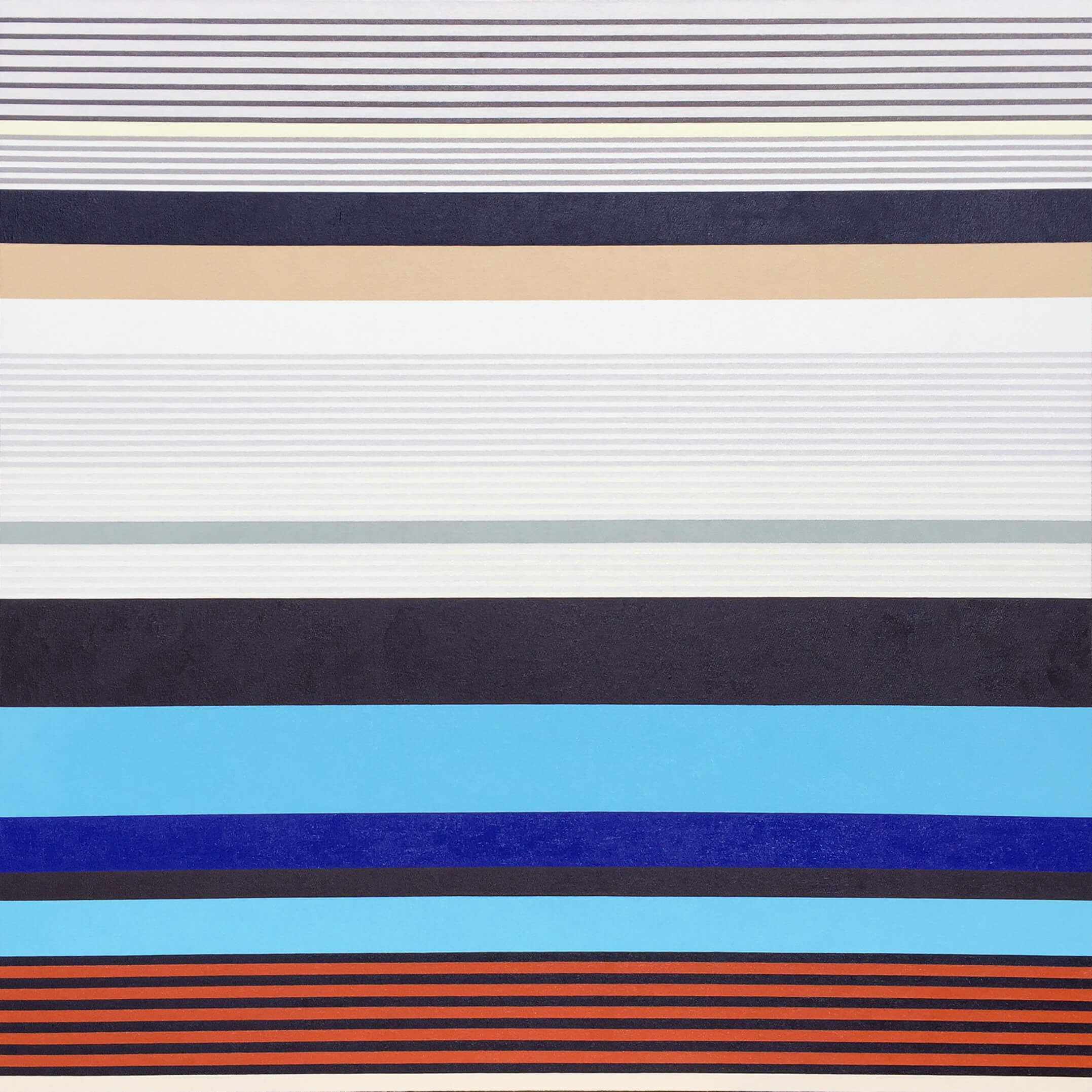 BLUE-WINGED KOOKABURRA female BLUE-WINGED KOOKABURRA female