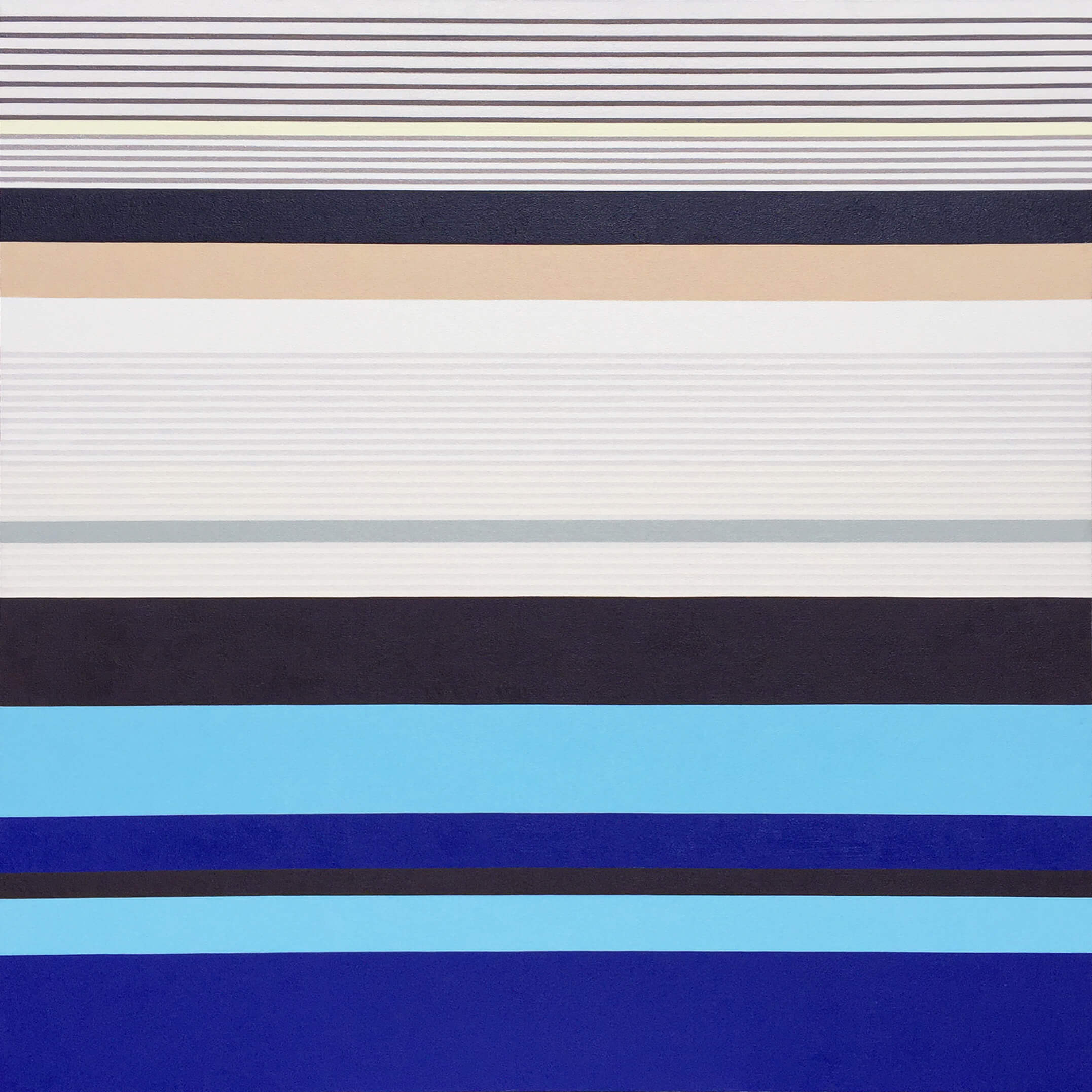 BLUE-WINGED KOOKABURRA male BLUE-WINGED KOOKABURRA male