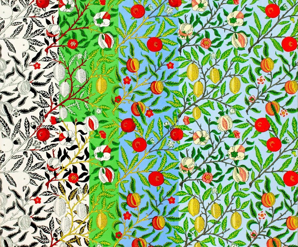 EVOLUTION ORCHARD EVOLUTION ORCHARD