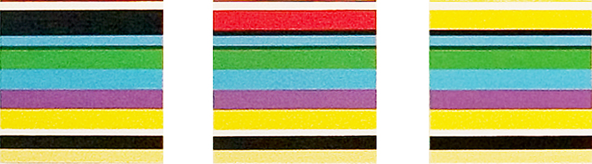 GOULDIAN FINCH, BLACK-FACED FORM GOULDIAN FINCH, BLACK-FACED FORM