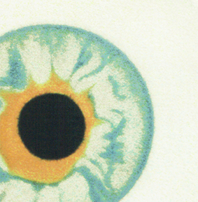 TWENTY-FIVE EYES TWENTY-FIVE EYES